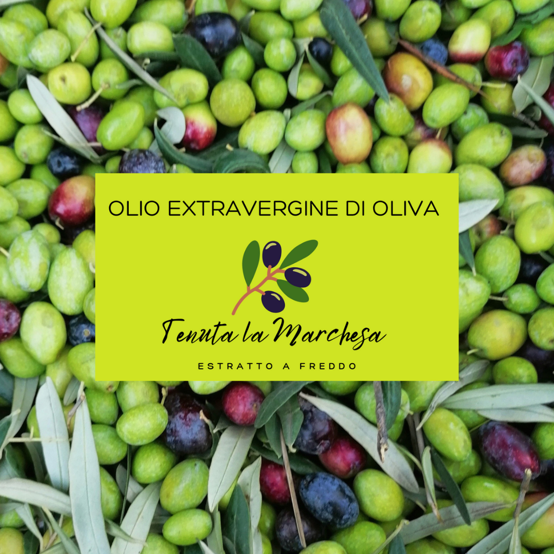 olio extravergine di oliva