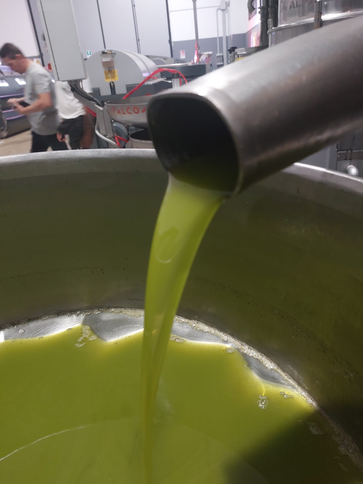 Olio extravergine Tenuta la Marchesa 3L