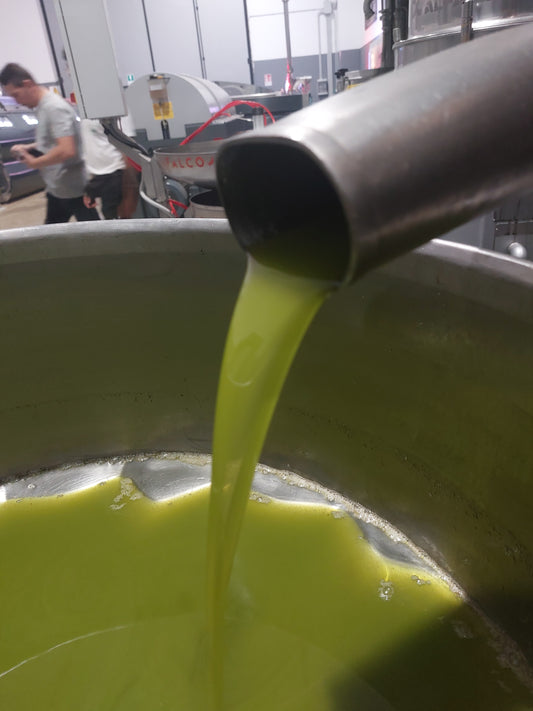 Olio extravergine Tenuta la Marchesa 3L